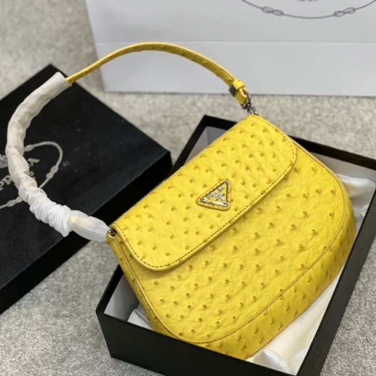 High quality Prada ostrich pattern retro armpit bag women small handbag front iconic logo pattern-1