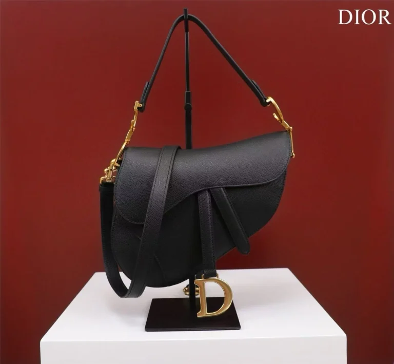 the Dior Mini Saddle Bag'