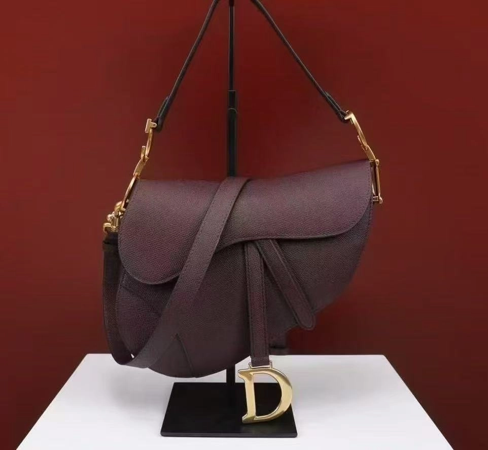the Dior Mini Saddle Bag'